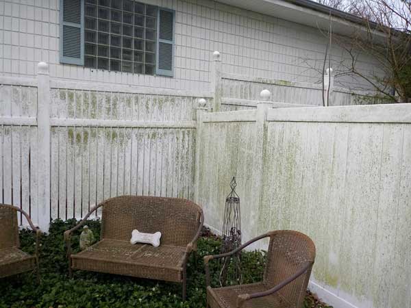 Deck & Fence Cleaning before