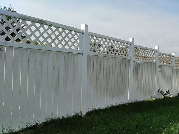 Deck & Fence Cleaning before