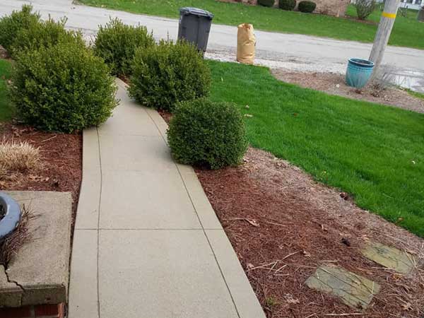Driveway & Patio Cleaning after