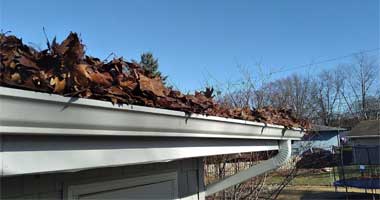 Gutter Cleaning